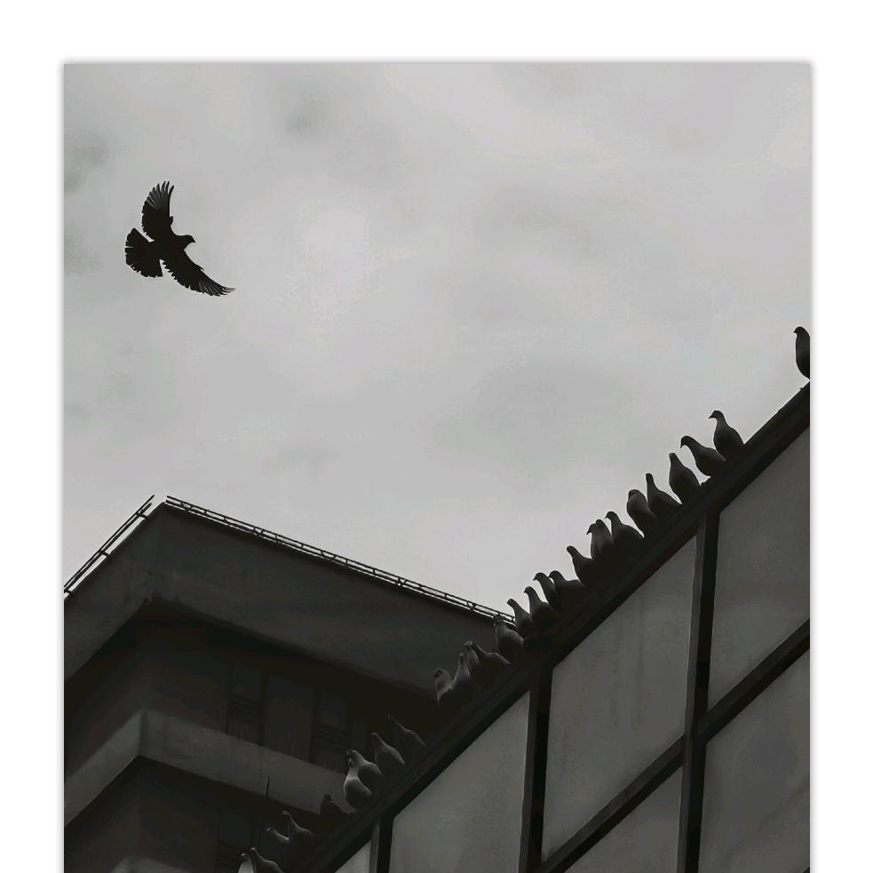 暮色沉沦