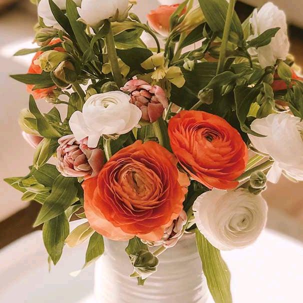 努力生活的三姐