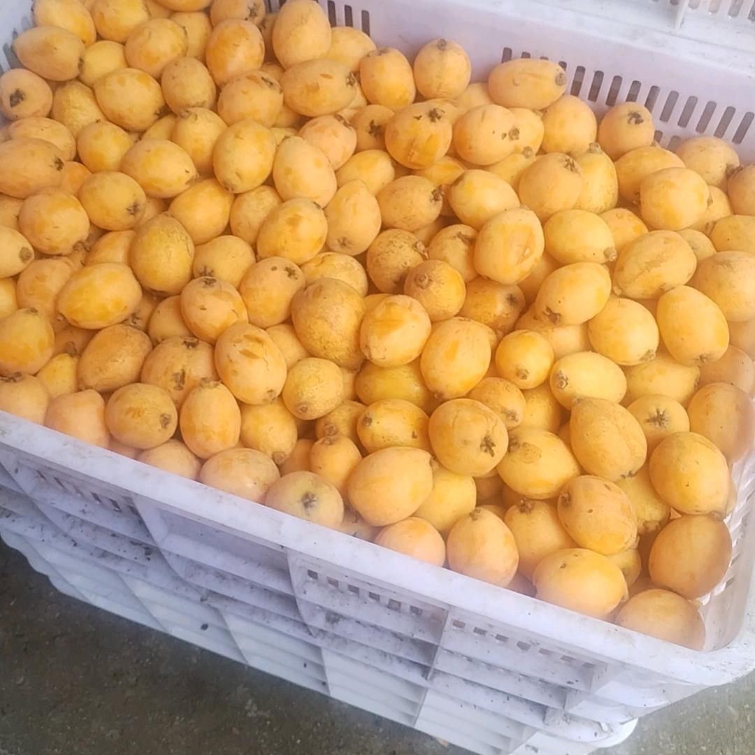 用户开心