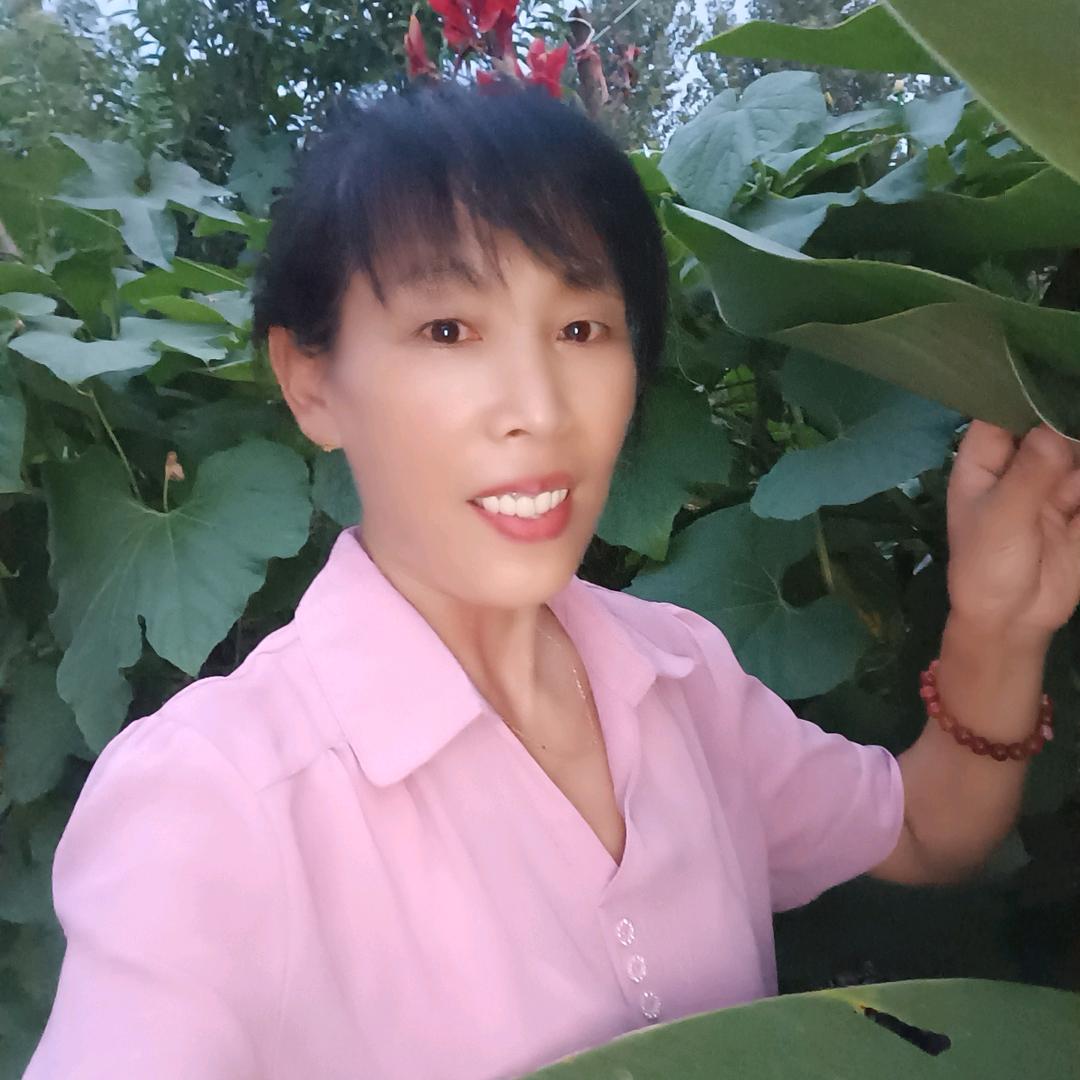 欢乐姐
