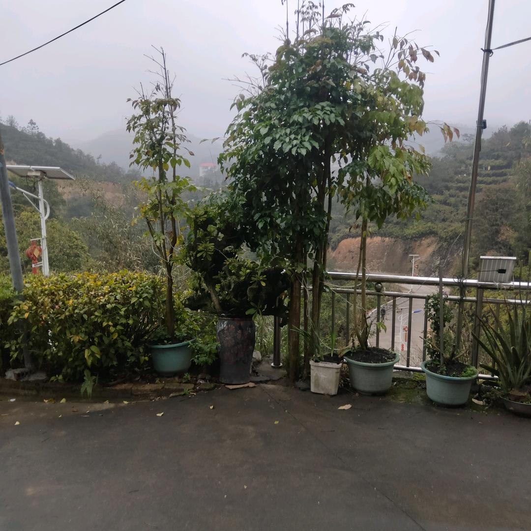 双喜优选好物