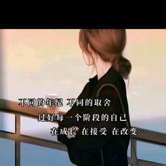 飞儿