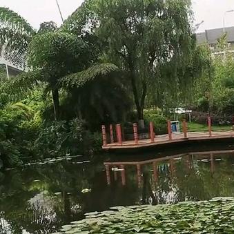 邓涵