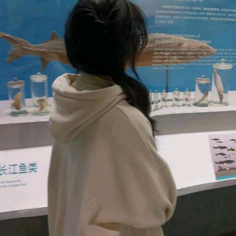 香香鱼♋