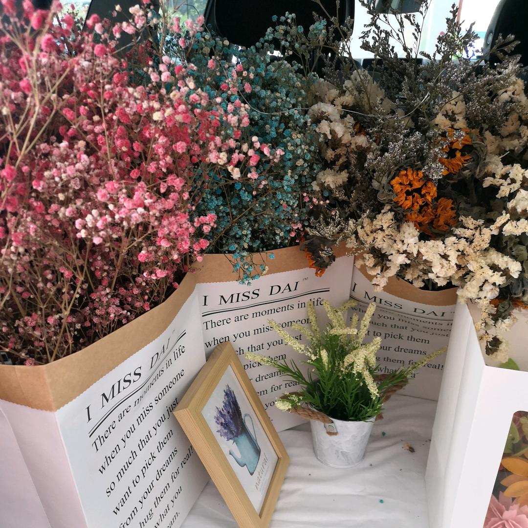 💐太阳花💐