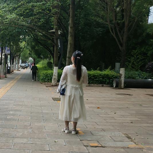 玫瑰万水千山总是情