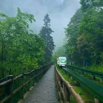 晨雾霁曦