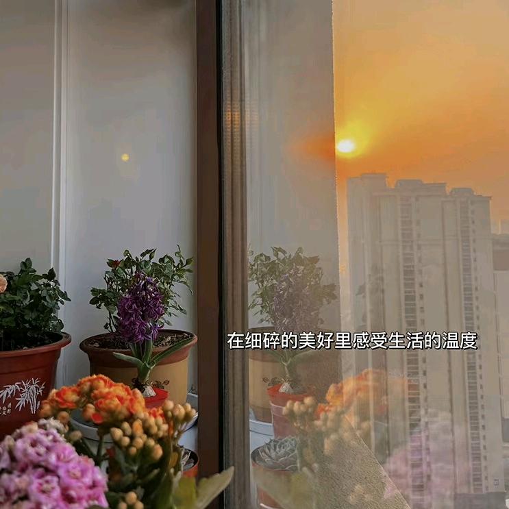 娅娅