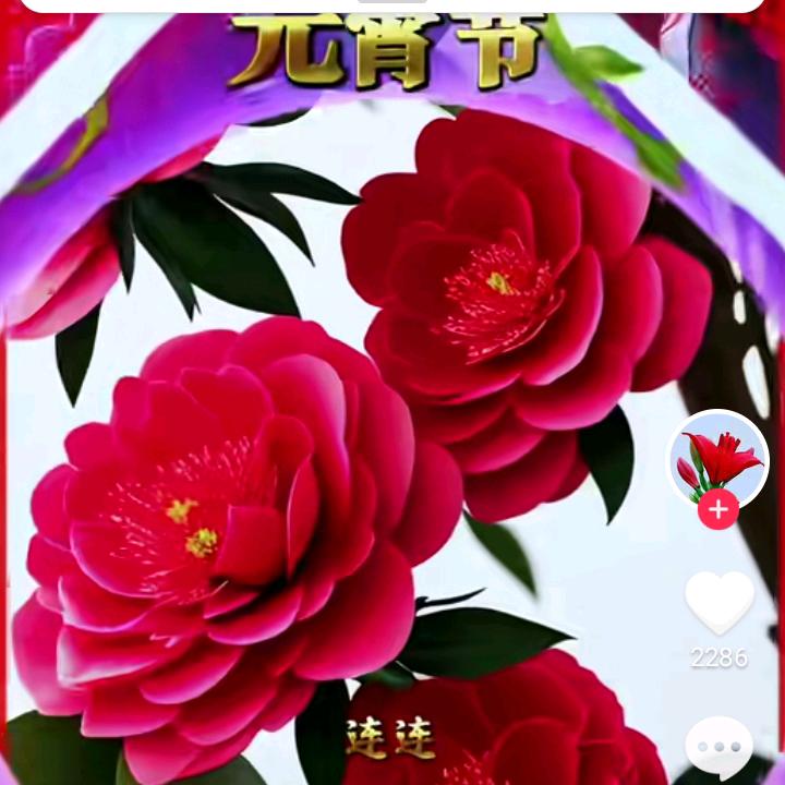 秋天风景真美丽