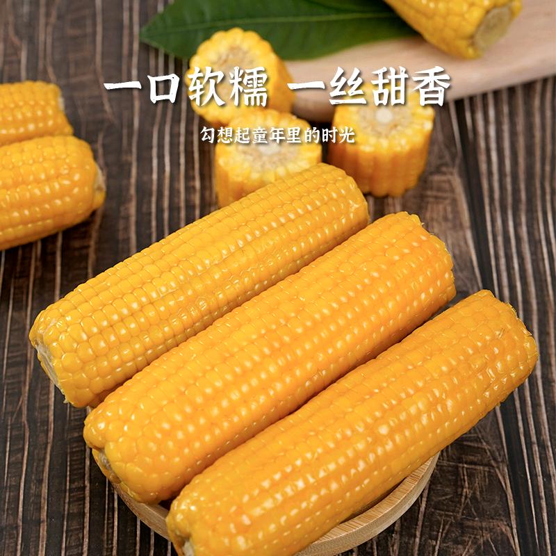 莫小沫玉米