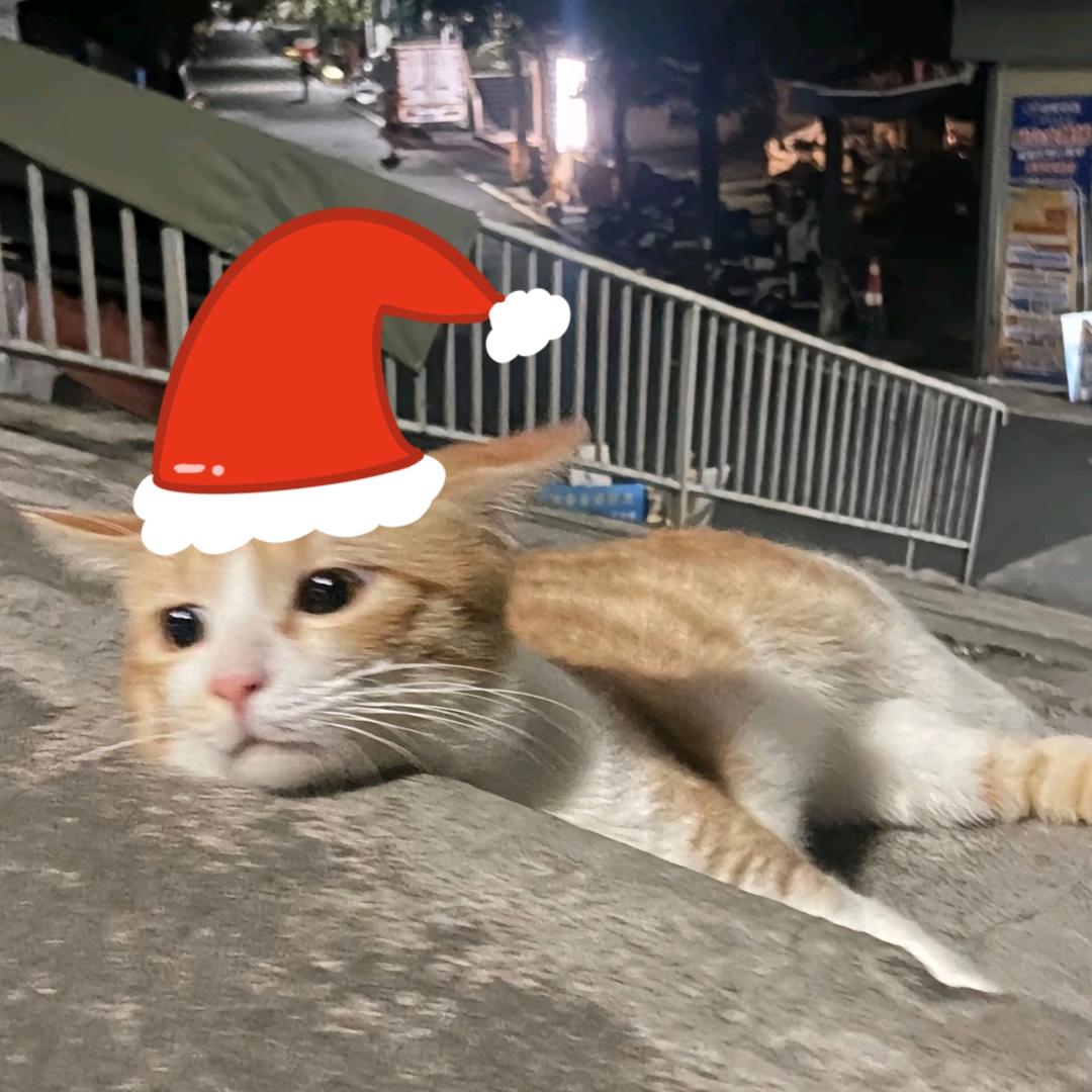 忧郁才是我的底色！