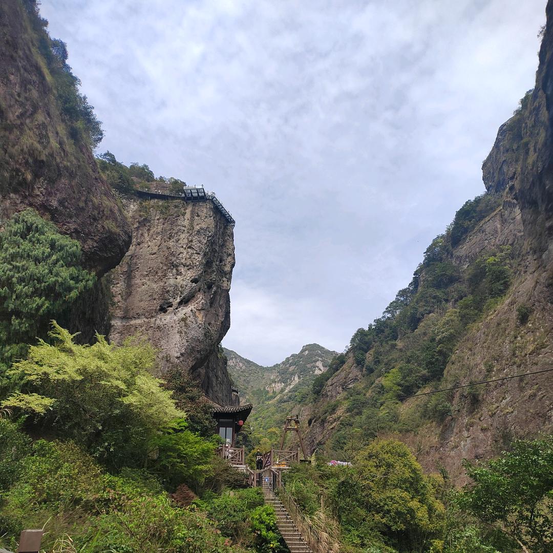 远方的狗尾巴草