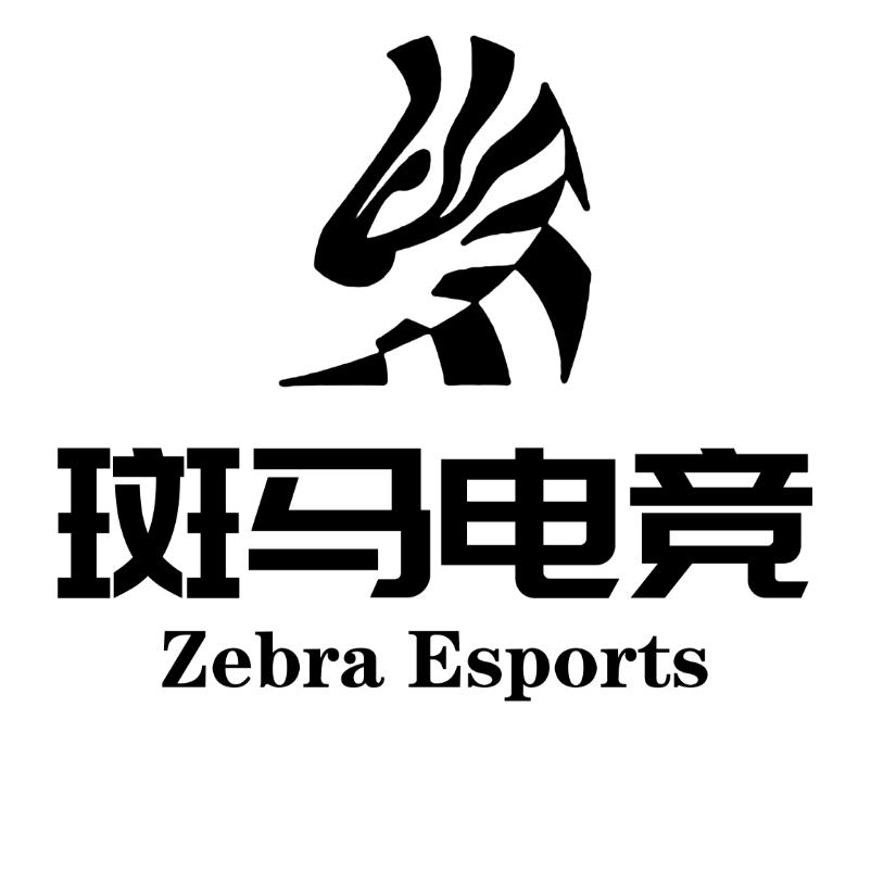 桑墟镇•斑马电竞馆🦓