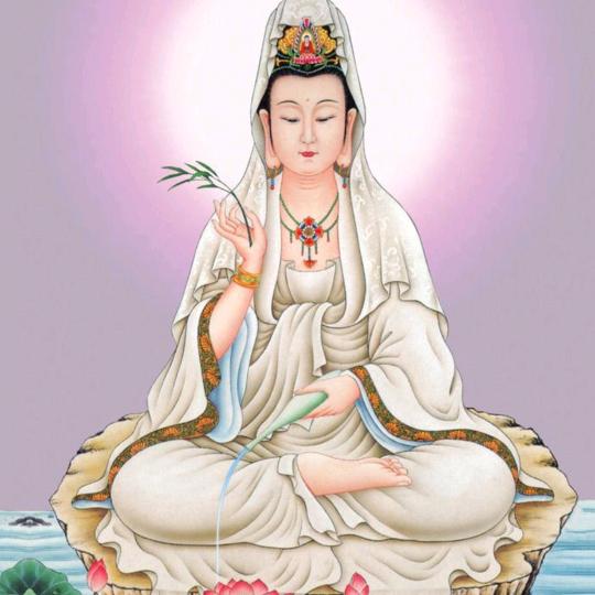 蓬阁仙幽净