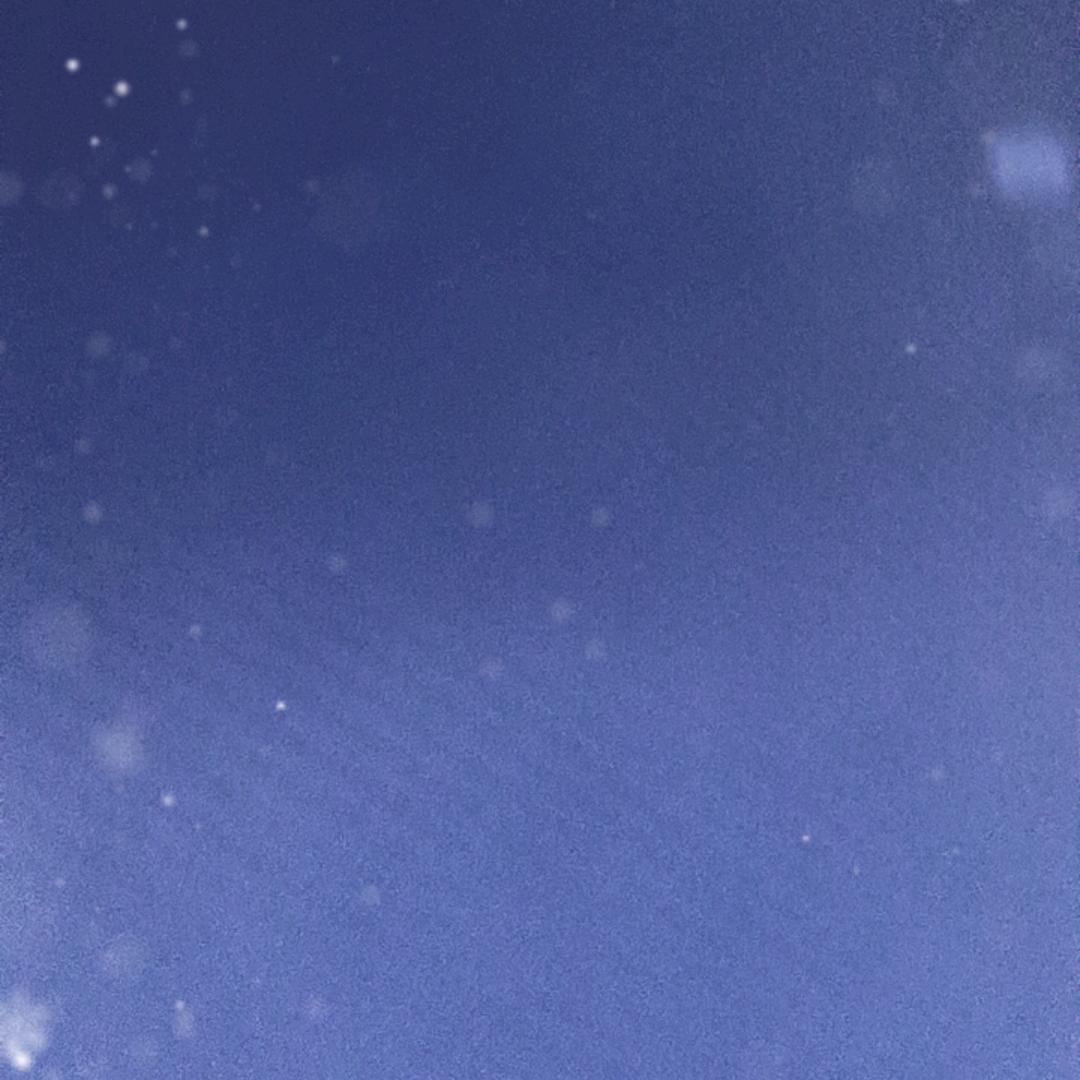 森少