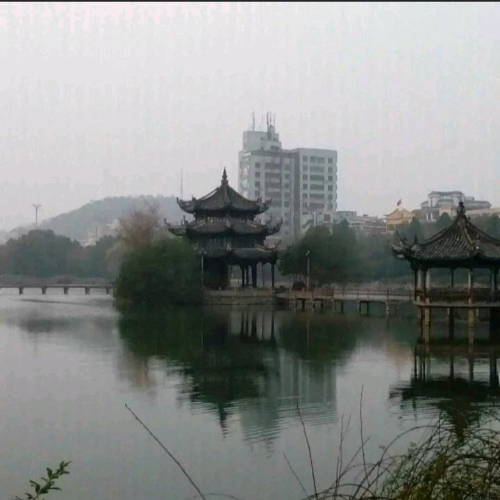 琦哥