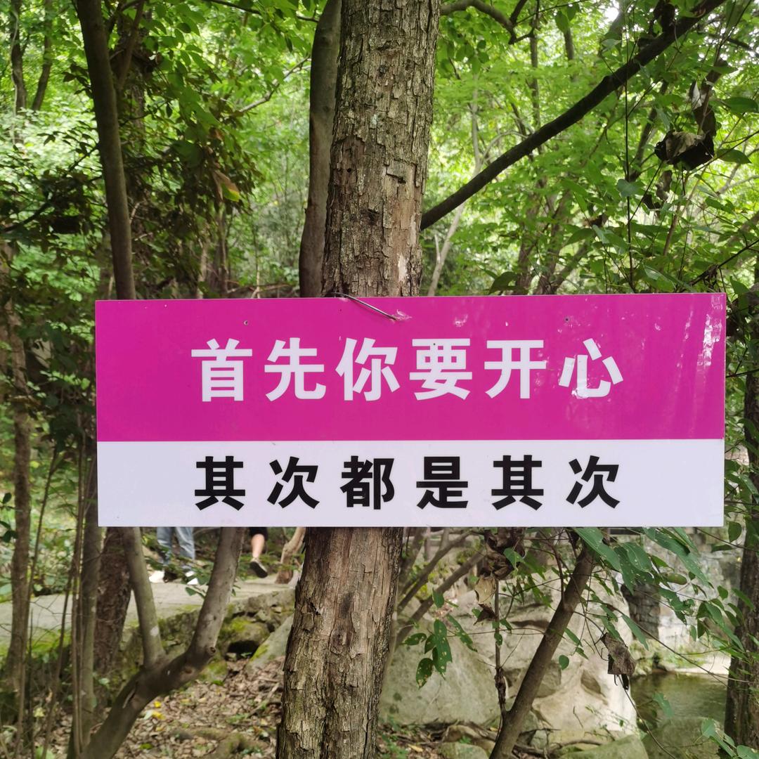 余生¥随心