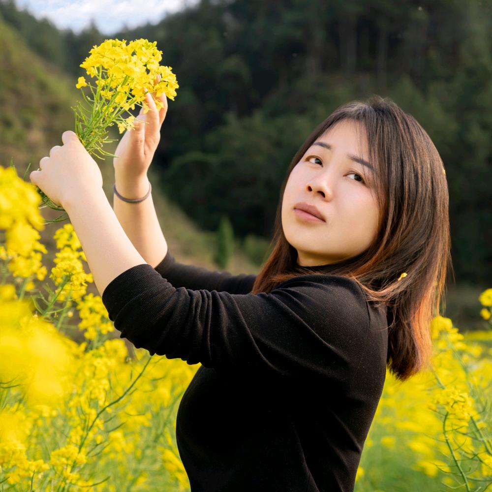 诺菲克窗帘王元菊