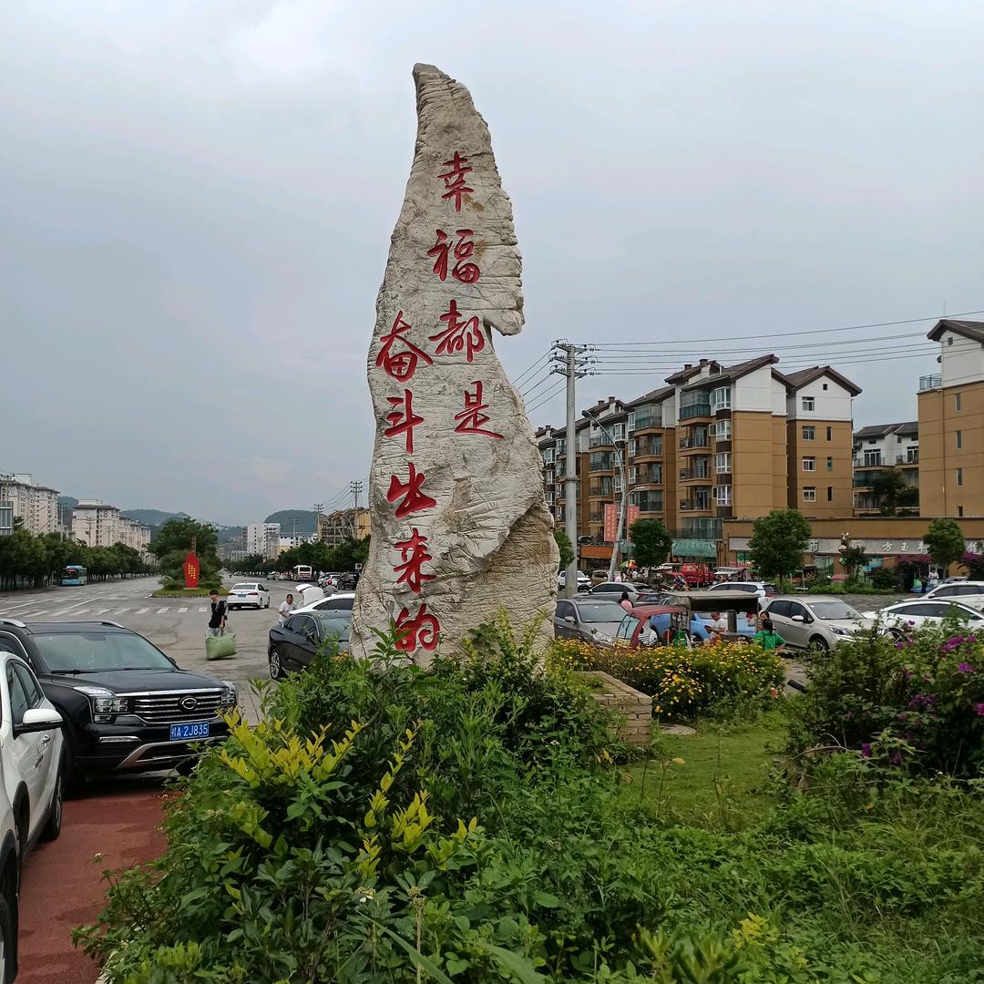 心随所愿