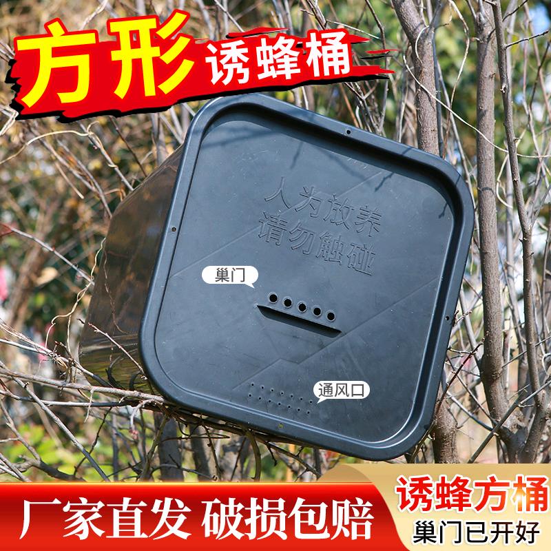 户外养峰