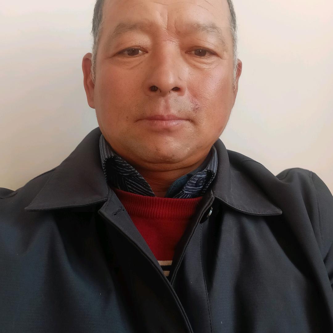 天天好运来365