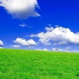 余生我陪你