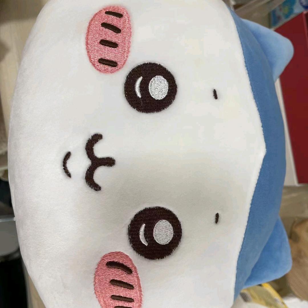 武汉工商学院孟学长