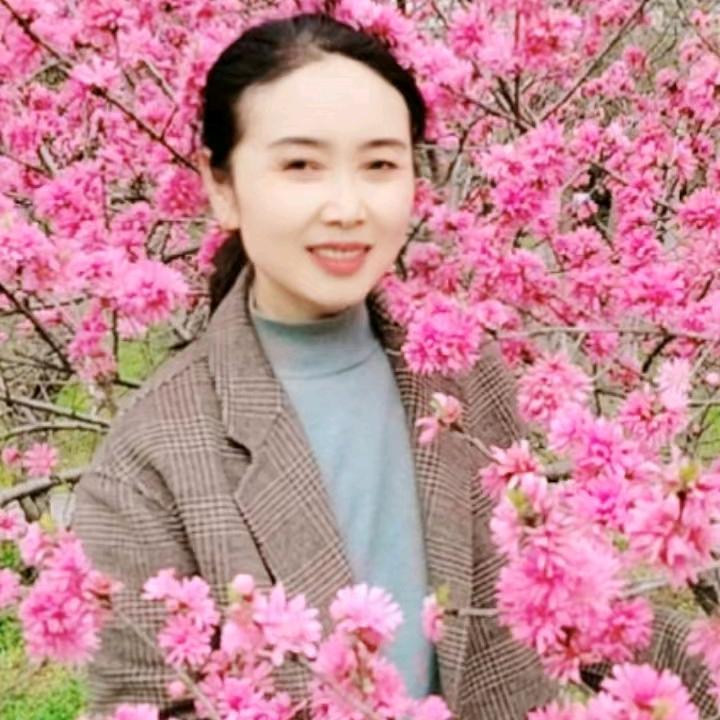 陆姐