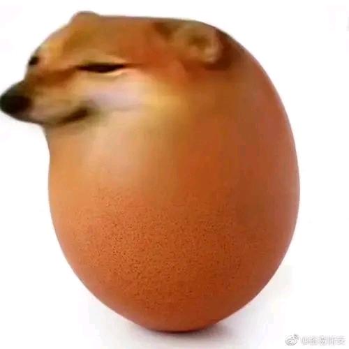 夕阳竹头像