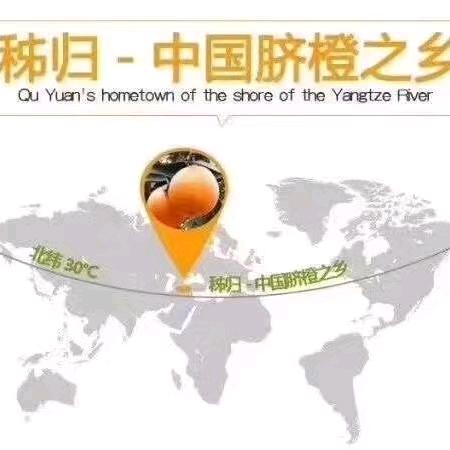 许鲜生