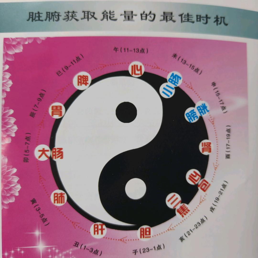 旅行者