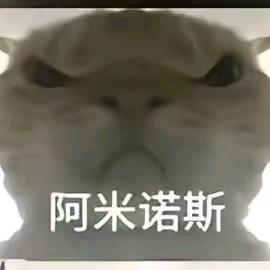 婷姐优选