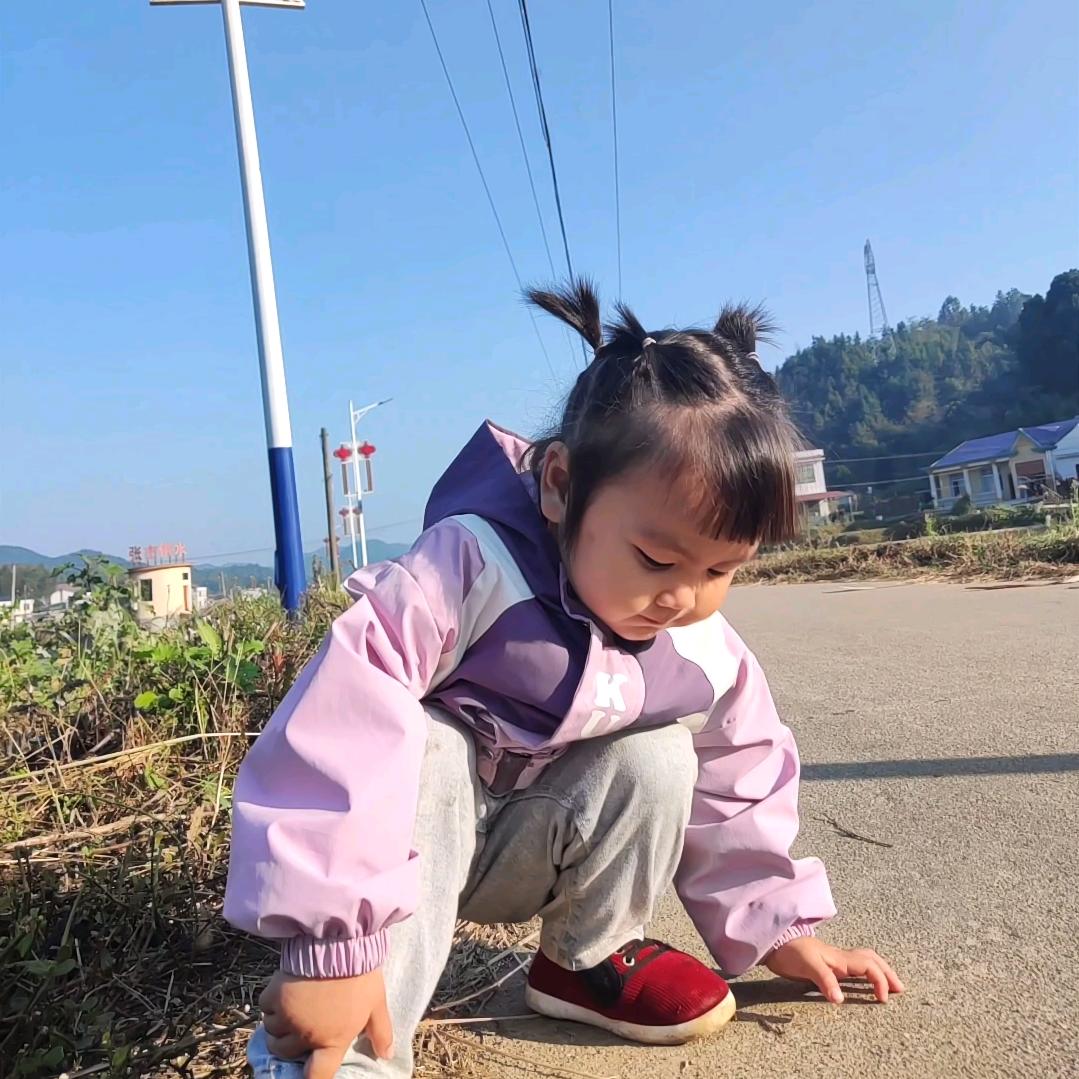 瑞雪落流年
