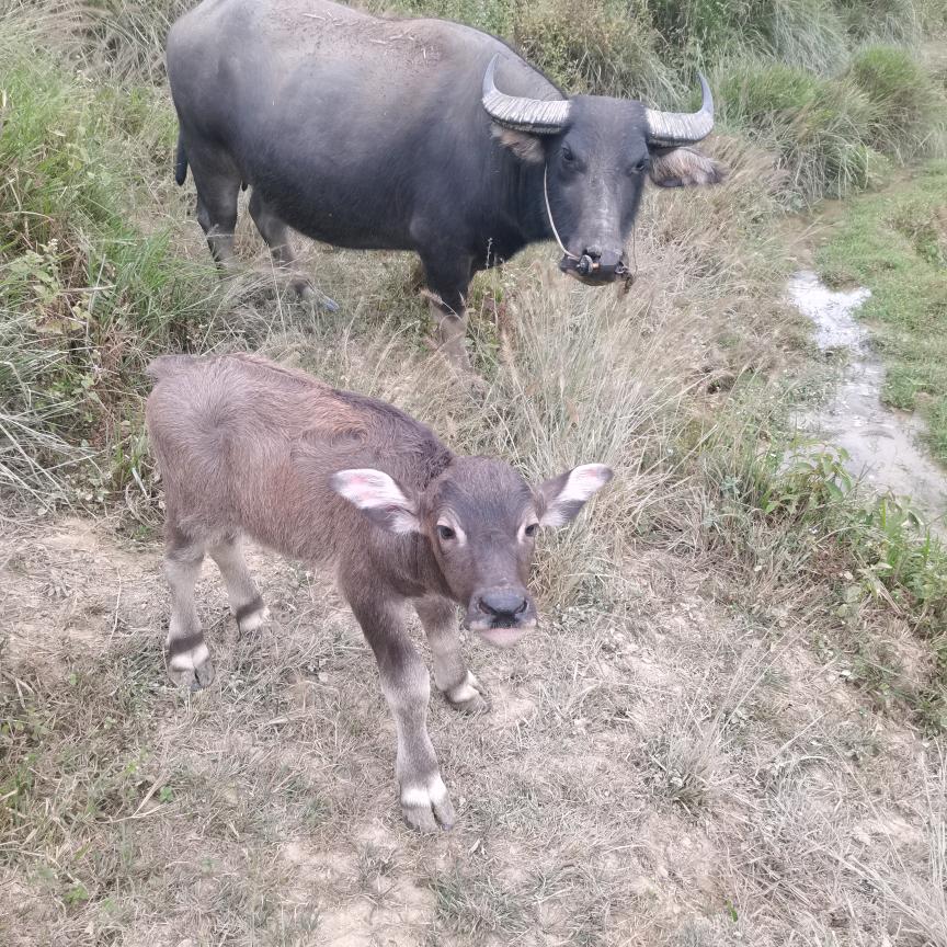 一生苦命的人、谁能知道我的苦