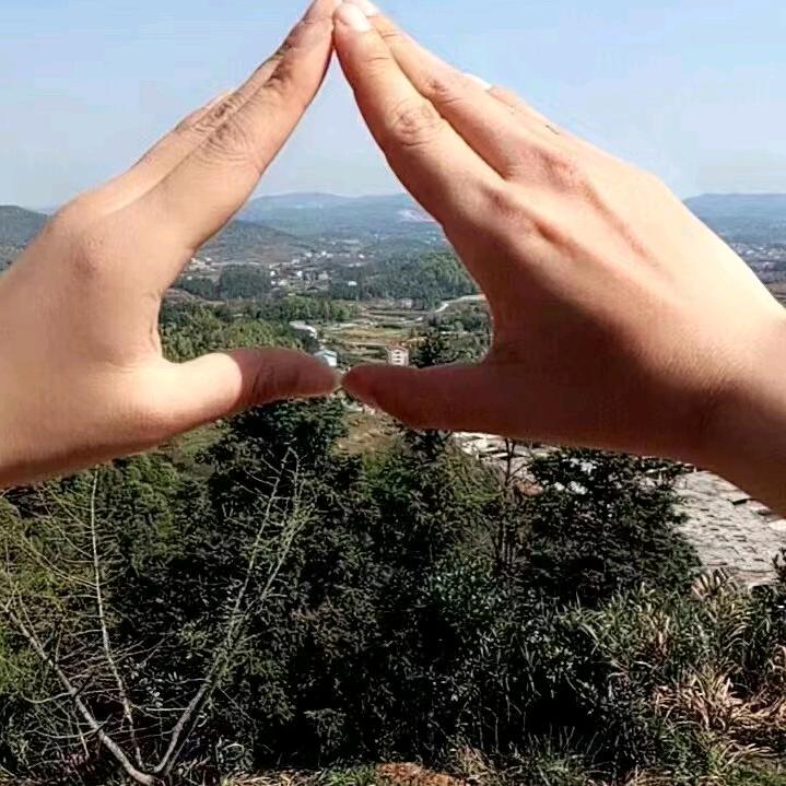 标哥