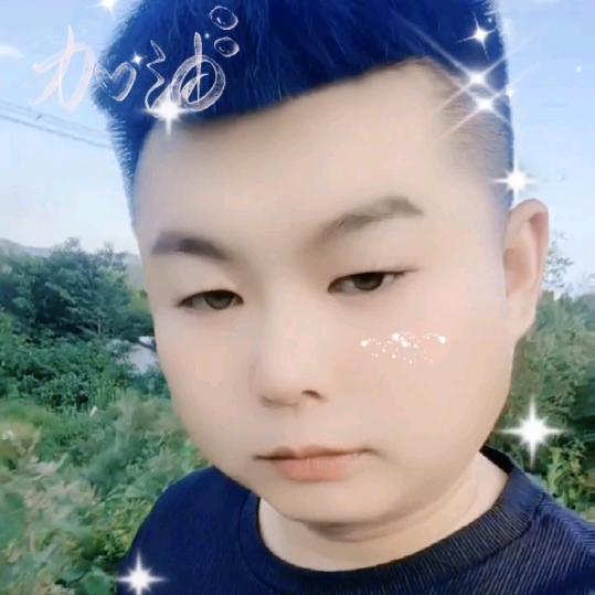 🐺善战的狼🐺
