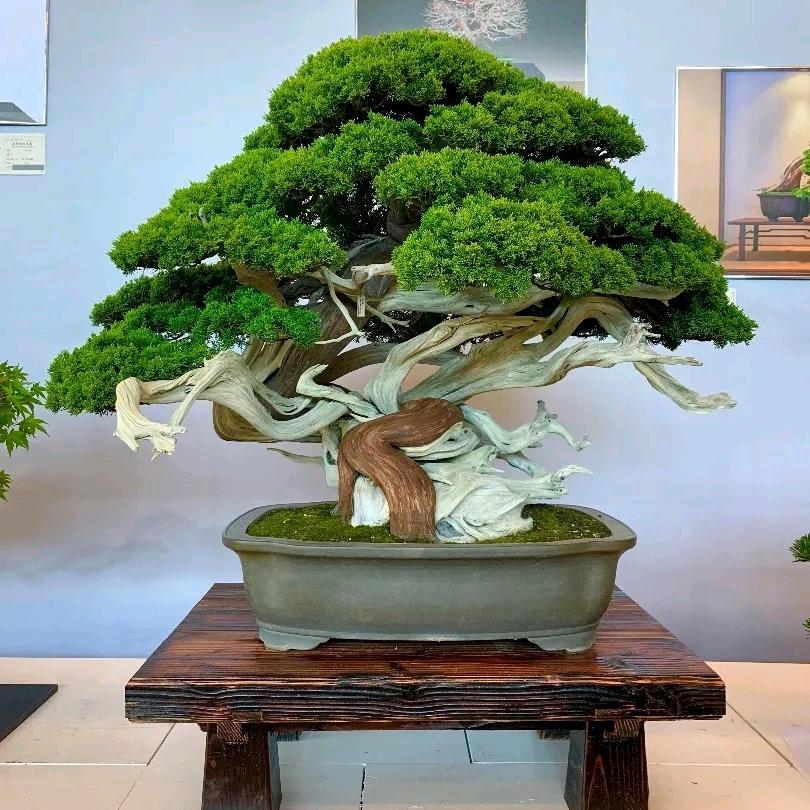 景元阁