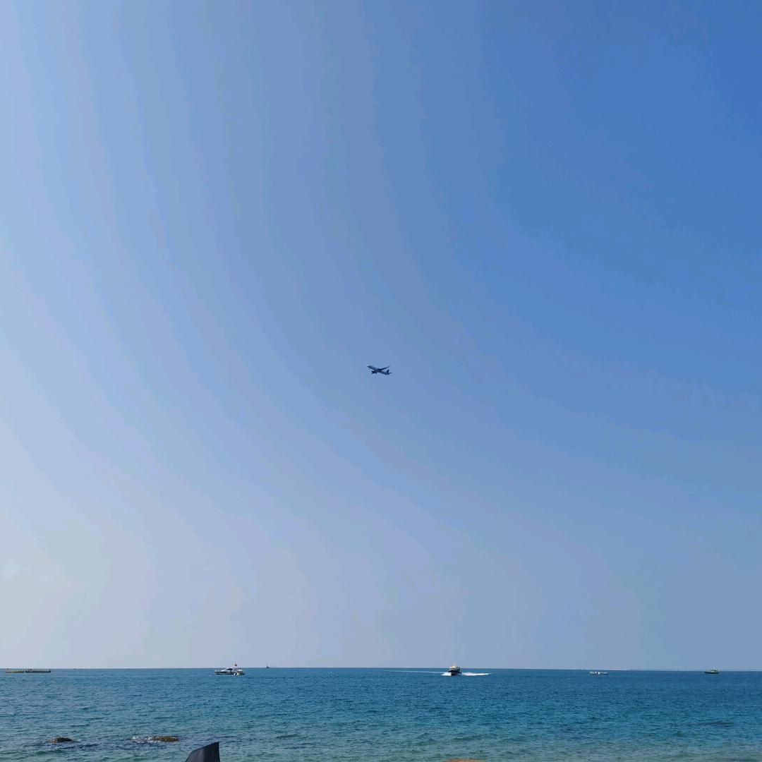 大海里的一条鱼🐟