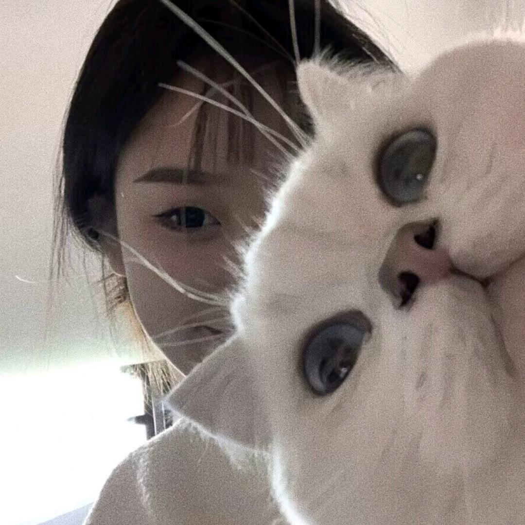 1-好运常伴露🧚