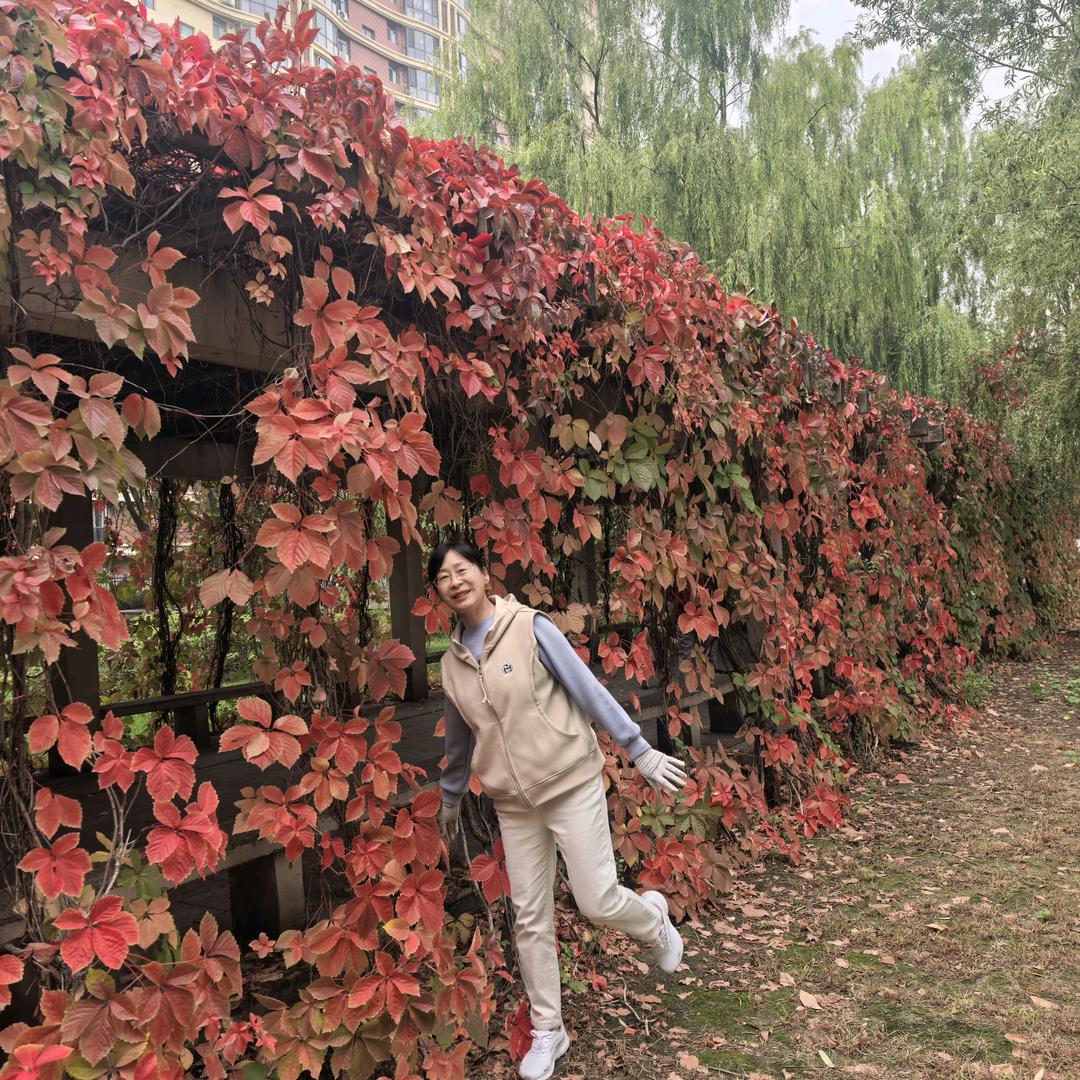 沙枣不是枣