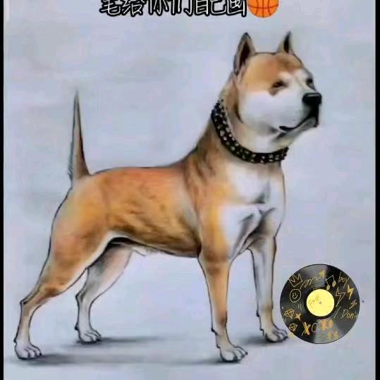 精品中华田园