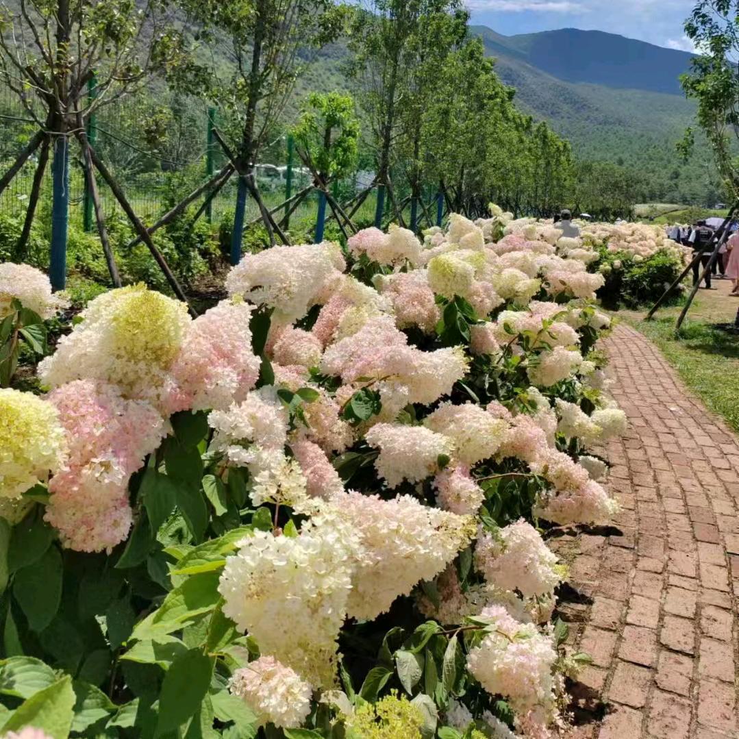 a宝贝五宜……拒绝连赞👍🏻👍🏻