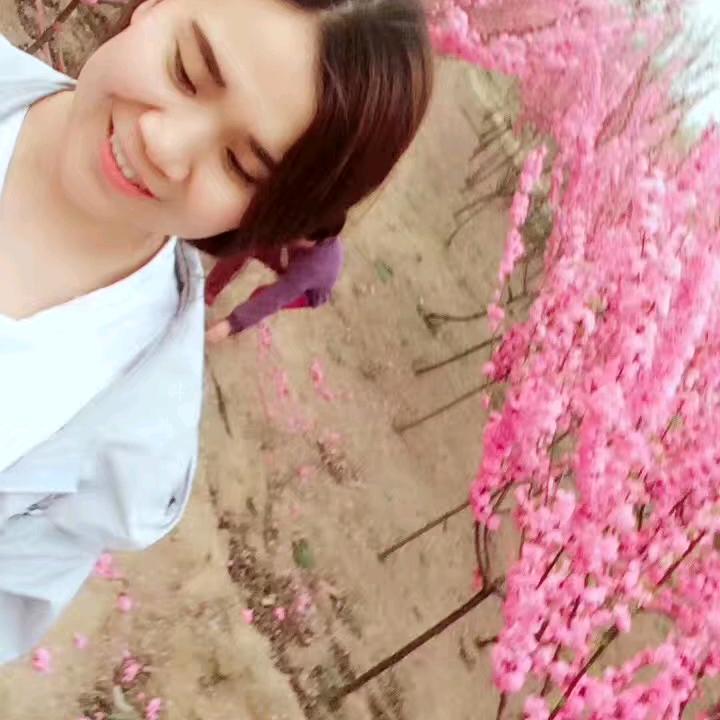 小朱微胖（做自己）