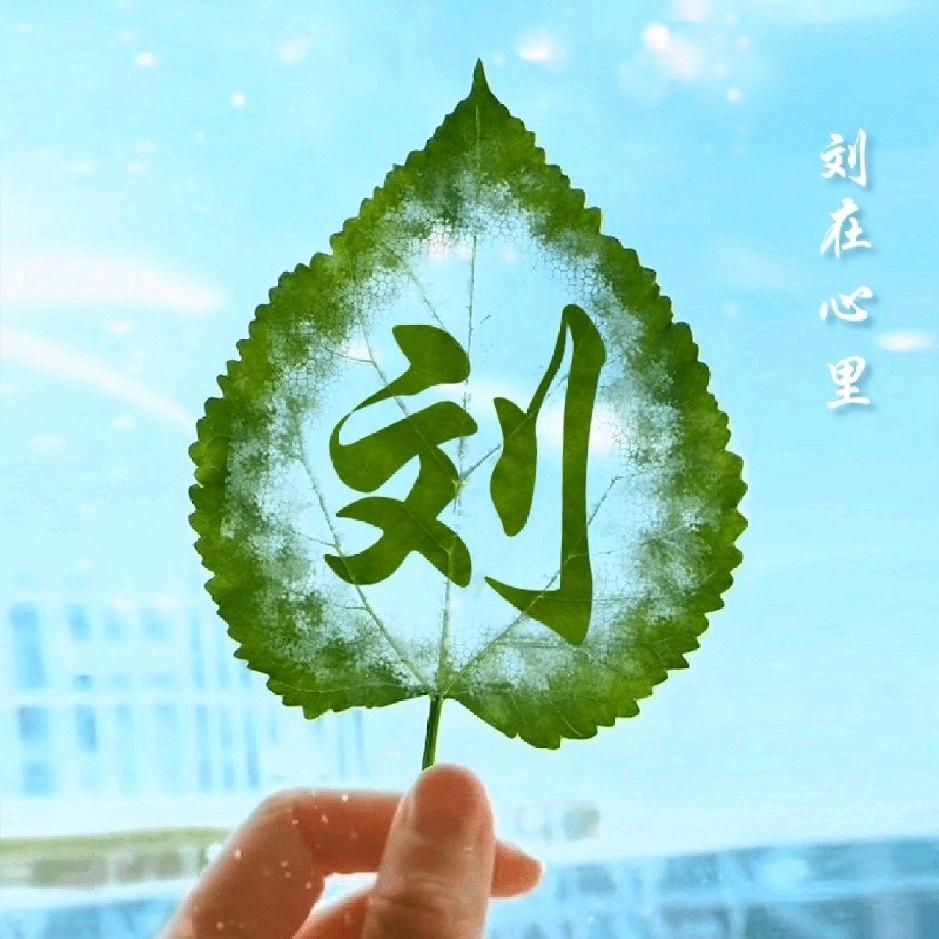 6.21
