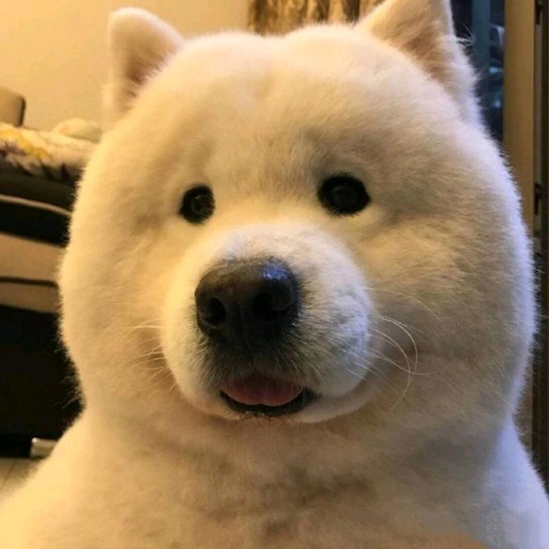 小熊🐻摄影