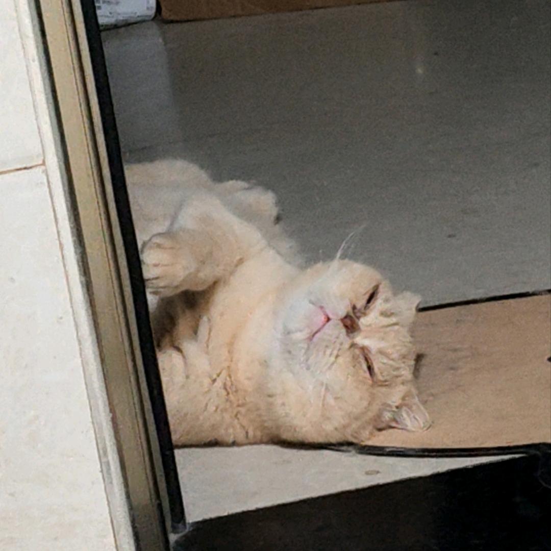 哒哒哒(三角洲版)