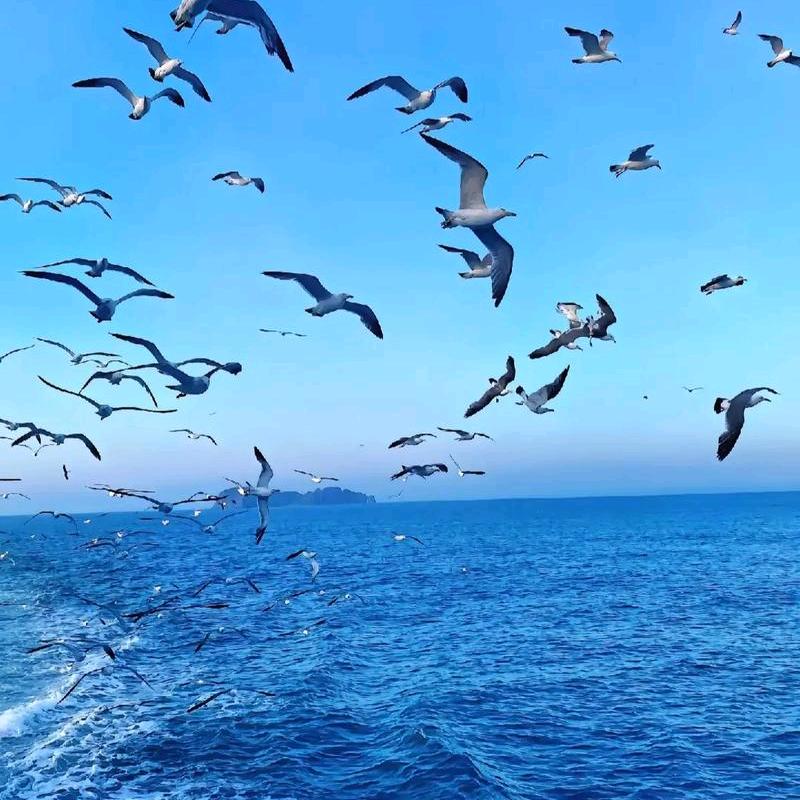 石沉大海