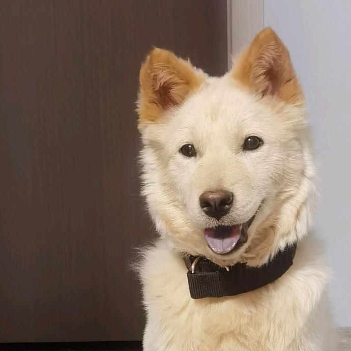 一筒（不爱守店）