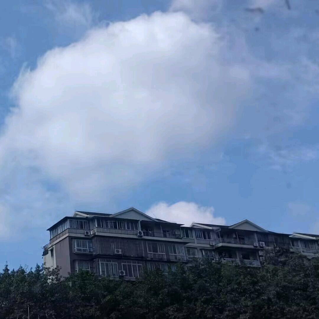 喜怒无常小师弟