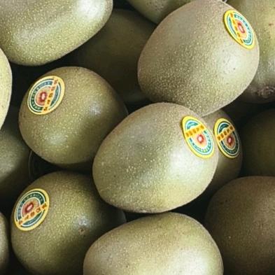 光良的畜禽精品店